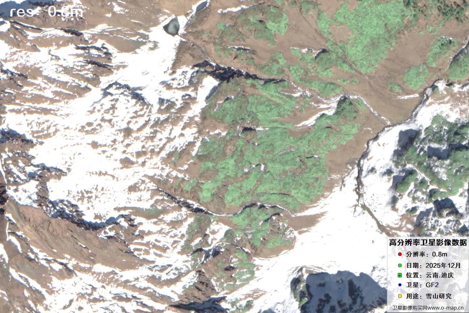 高分二号2025年拍摄的迪庆雪山里的树林