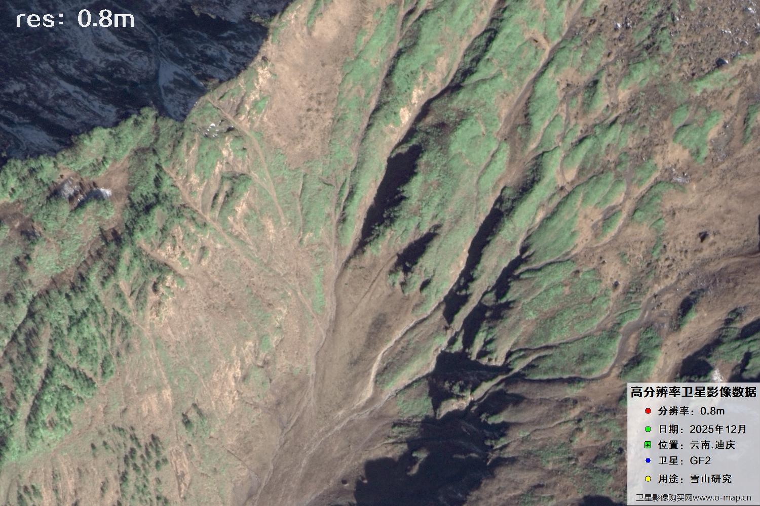 高分二号2025年拍摄的迪庆雪山里的树林