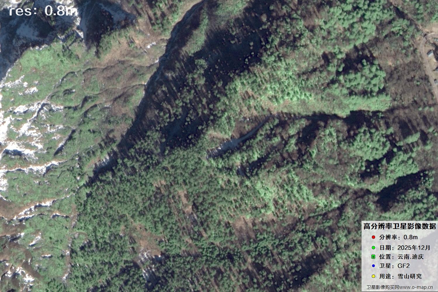 高分二号2025年拍摄的迪庆雪山里的树林