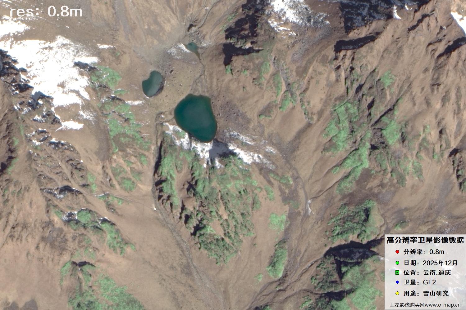 高分二号2025年拍摄的迪庆雪山里的树林