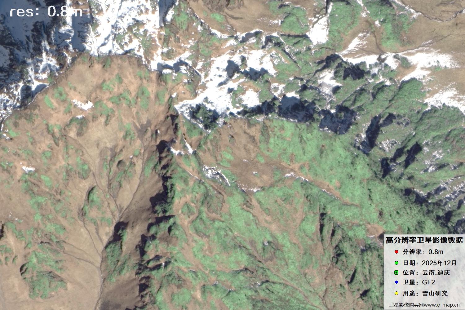 高分二号2025年拍摄的迪庆雪山里的树林