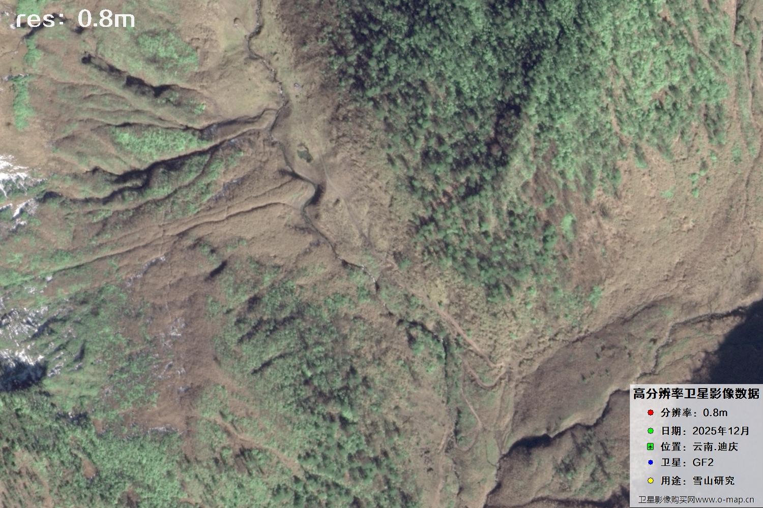 高分二号2025年拍摄的迪庆雪山里的树林