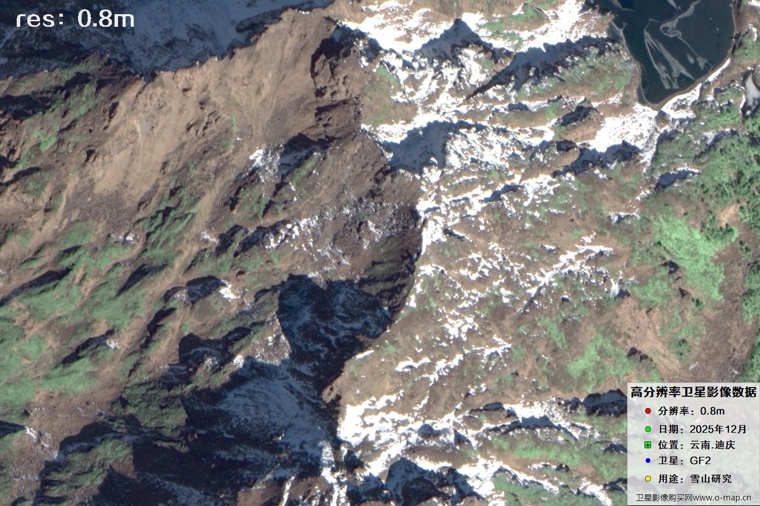 高分二号2025年拍摄的迪庆雪山里的树林