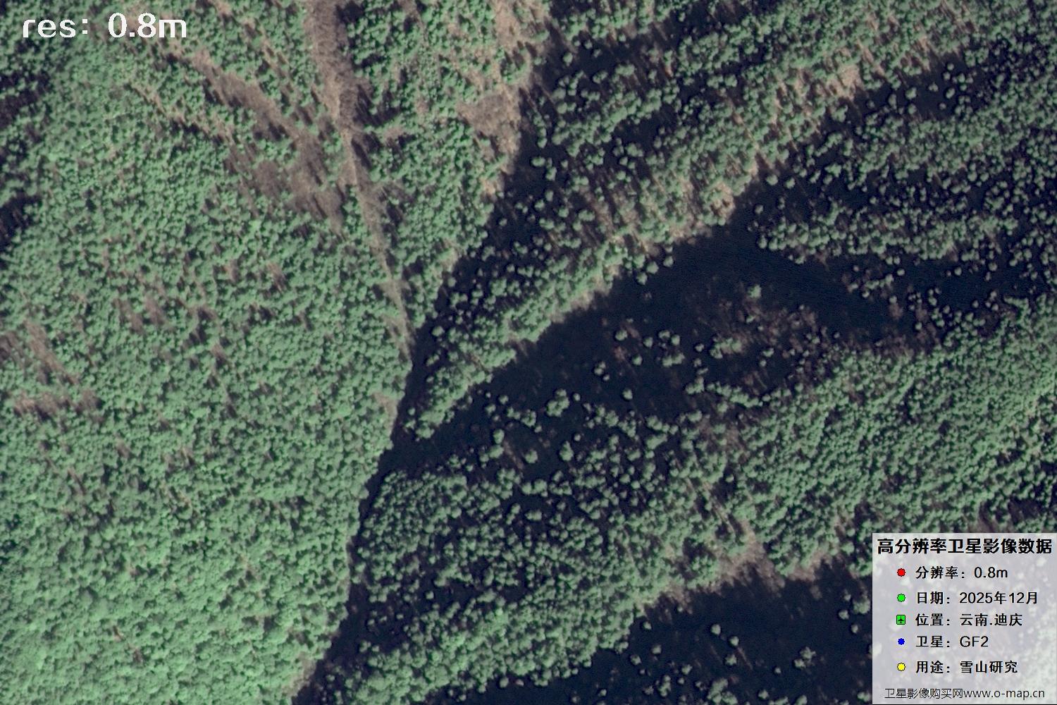 高分二号2025年拍摄的迪庆雪山里的树林