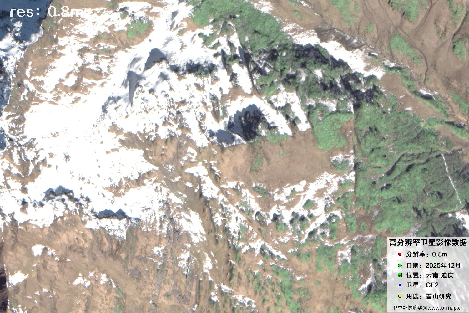 高分二号2025年拍摄的迪庆雪山里的树林