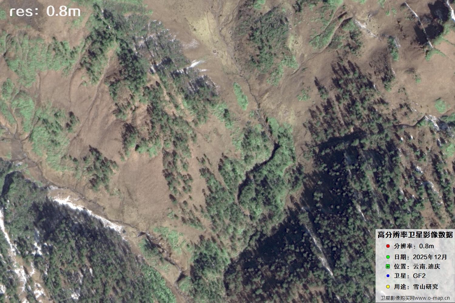 高分二号2025年拍摄的迪庆雪山里的树林