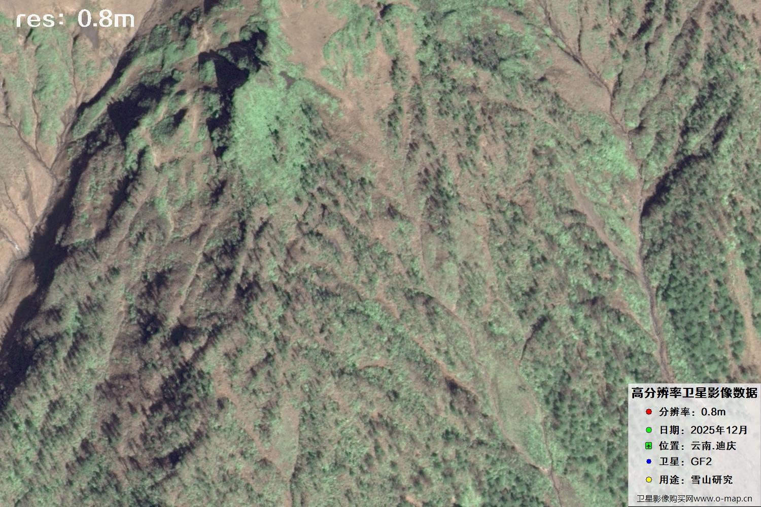 高分二号2025年拍摄的迪庆雪山里的树林