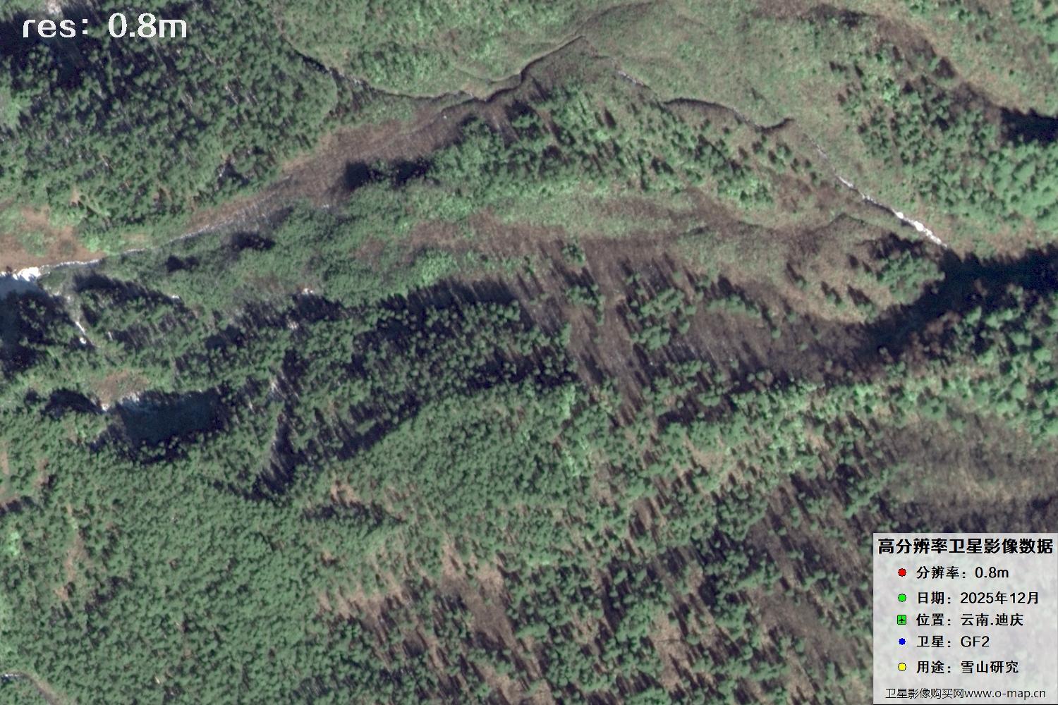 高分二号2025年拍摄的迪庆雪山里的树林