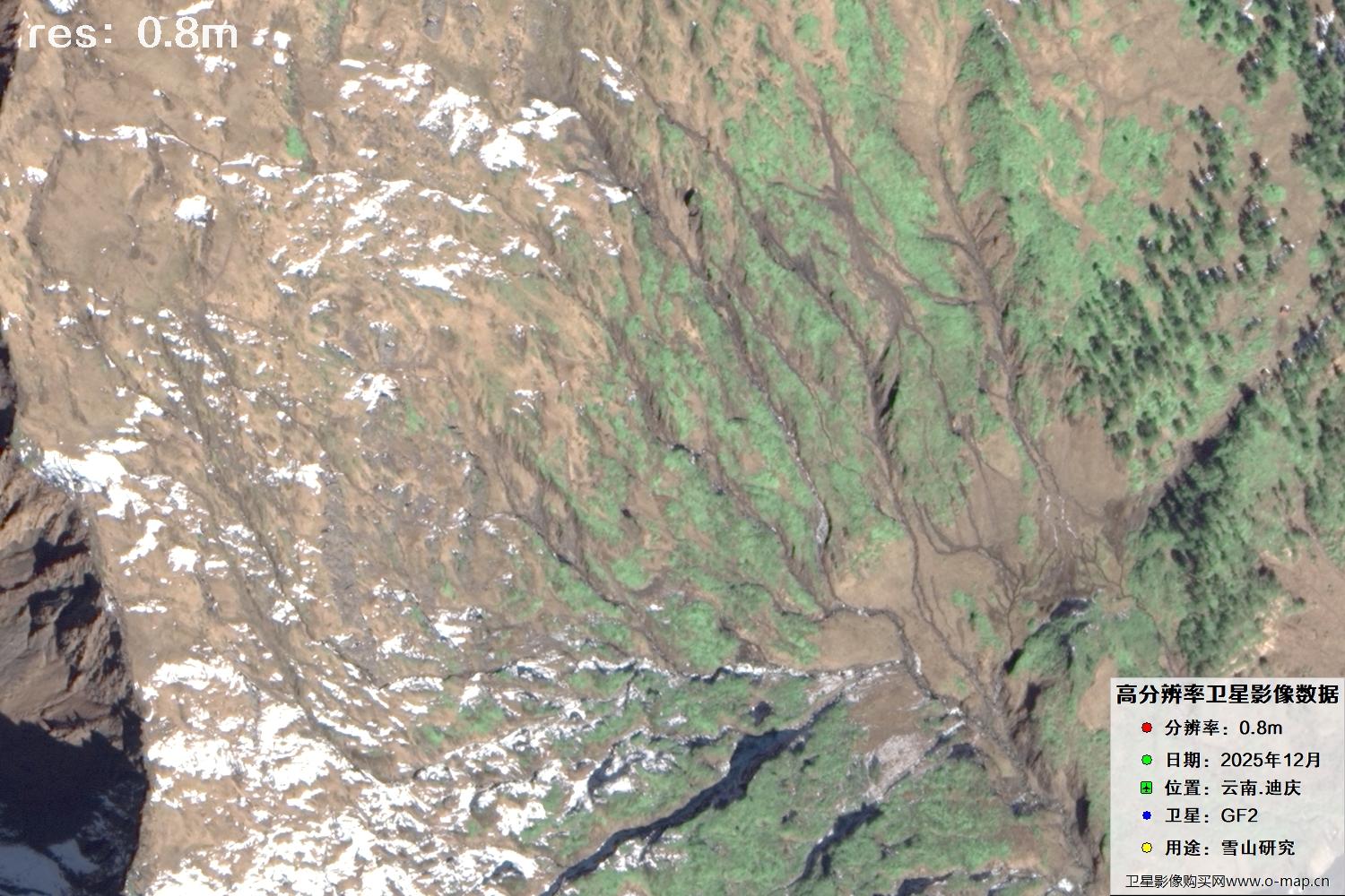 高分二号2025年拍摄的迪庆雪山里的树林