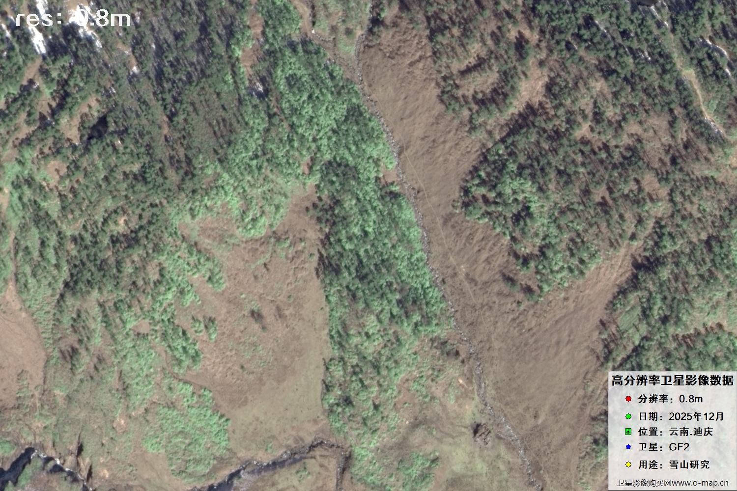 高分二号2025年拍摄的迪庆雪山里的树林