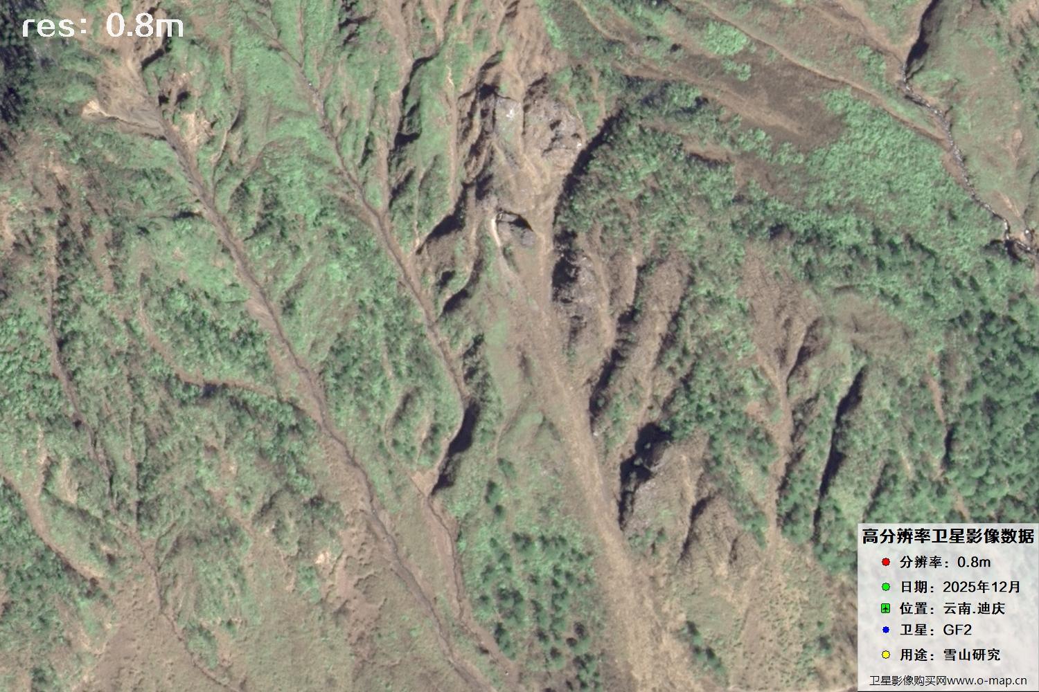 高分二号2025年拍摄的迪庆雪山里的树林