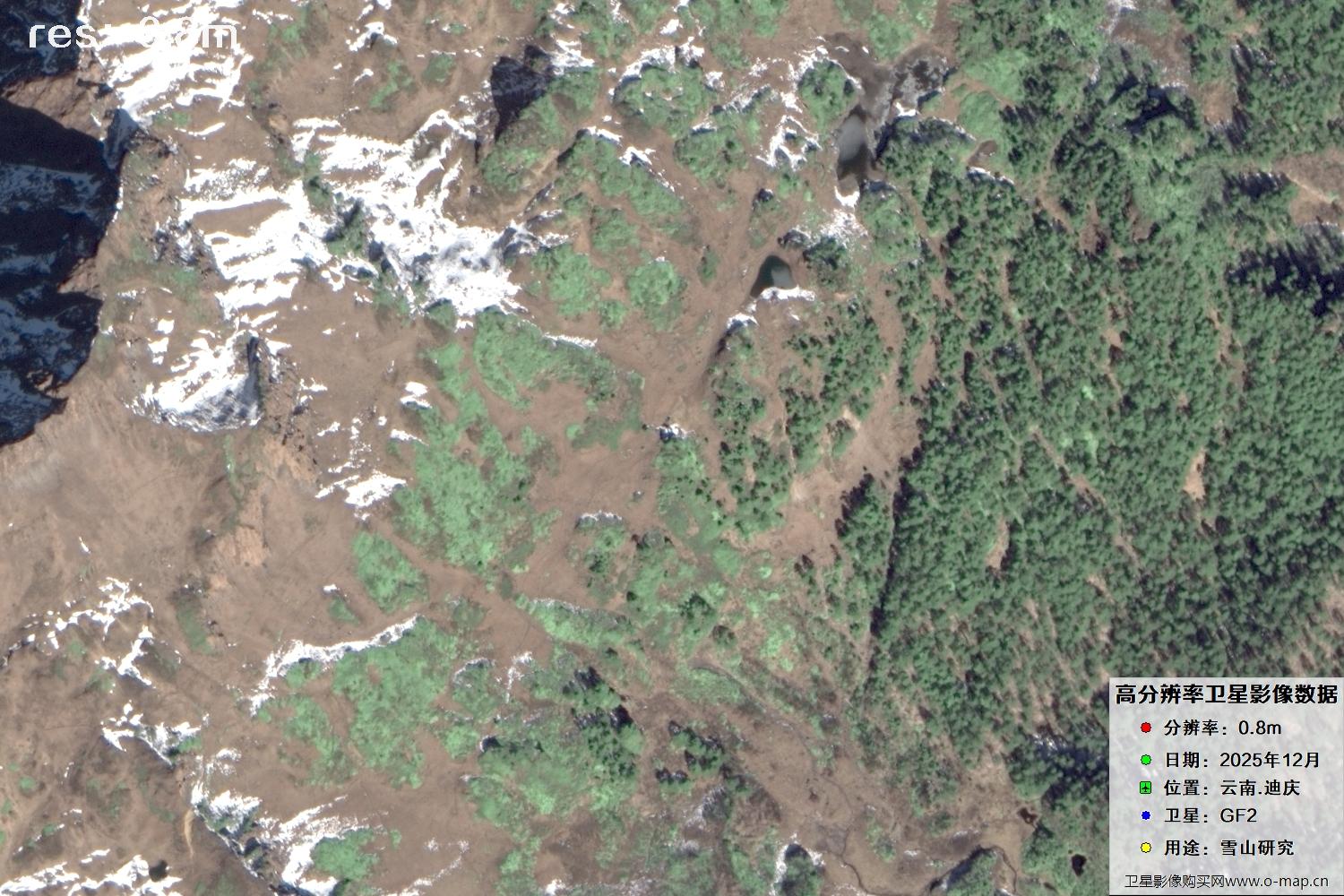 高分二号2025年拍摄的迪庆雪山里的树林