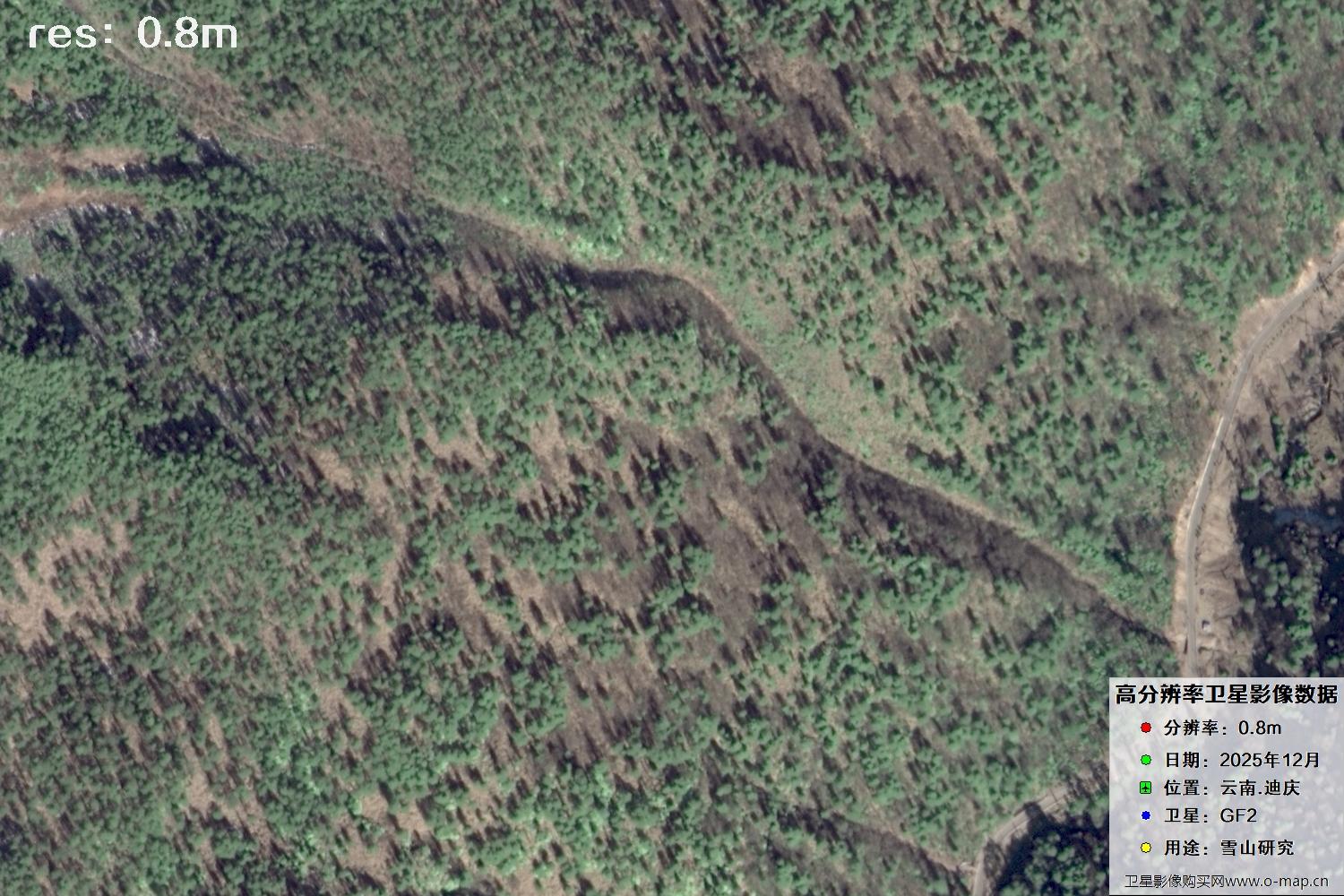 高分二号2025年拍摄的迪庆雪山里的树林