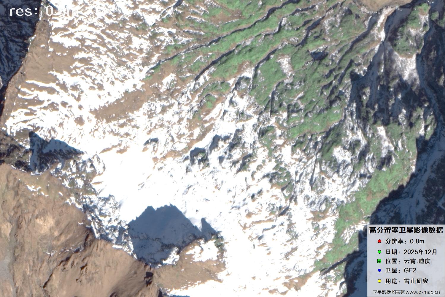 高分二号2025年拍摄的迪庆雪山里的树林