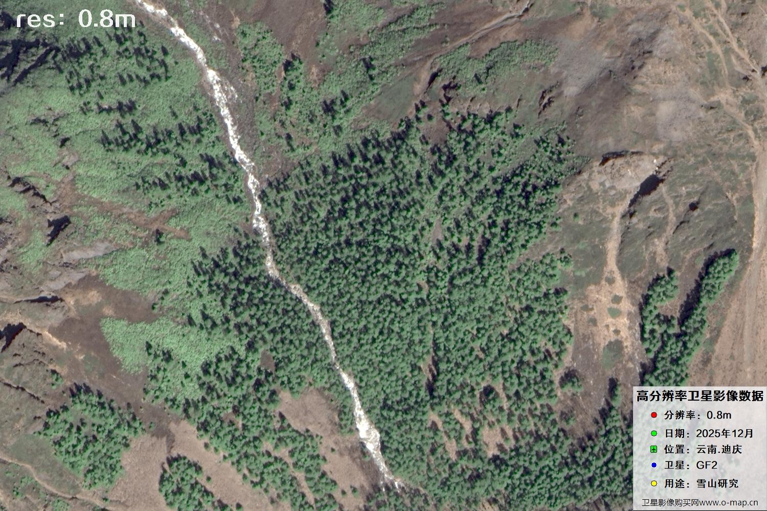 高分二号2025年拍摄的迪庆雪山里的树林