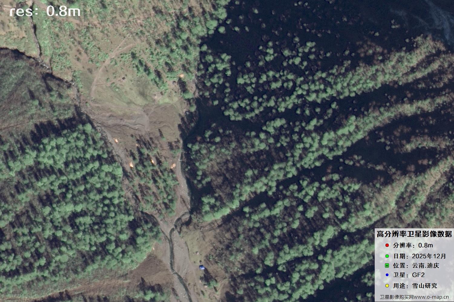 高分二号2025年拍摄的迪庆雪山里的树林