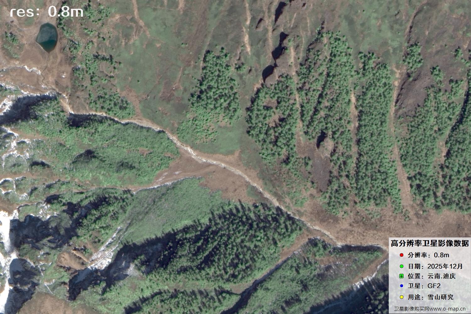 高分二号2025年拍摄的迪庆雪山里的树林