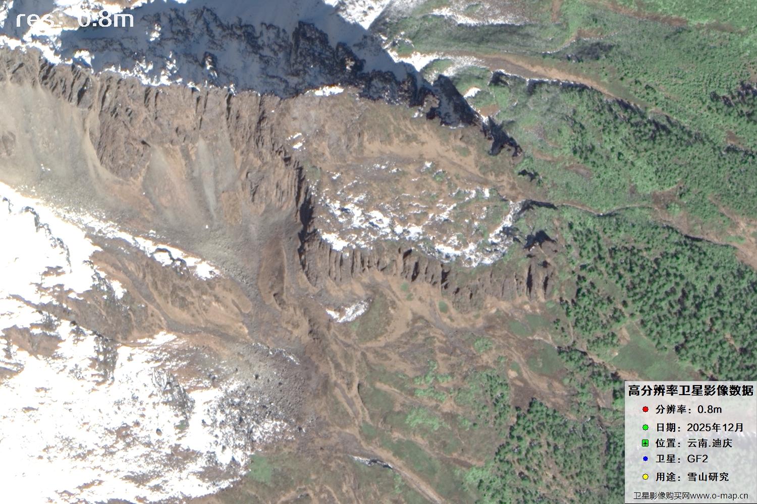 高分二号2025年拍摄的迪庆雪山里的树林