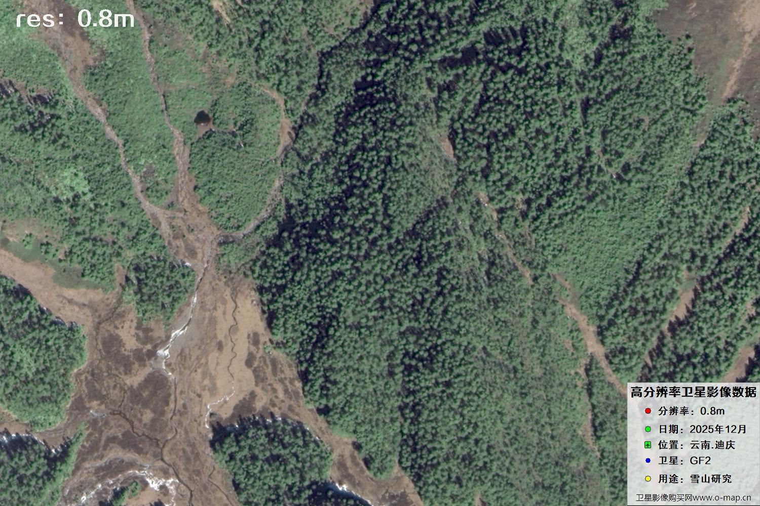 高分二号2025年拍摄的迪庆雪山里的树林