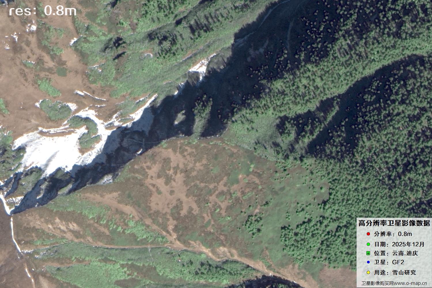 高分二号2025年拍摄的迪庆雪山里的树林