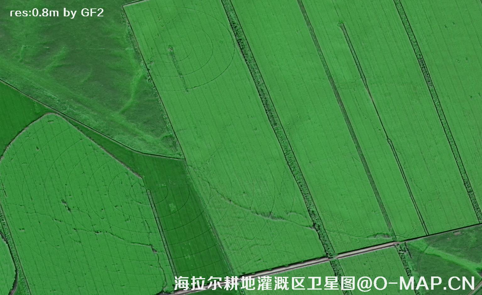 内蒙古呼伦贝尔海拉尔耕地灌溉区域2021卫星图