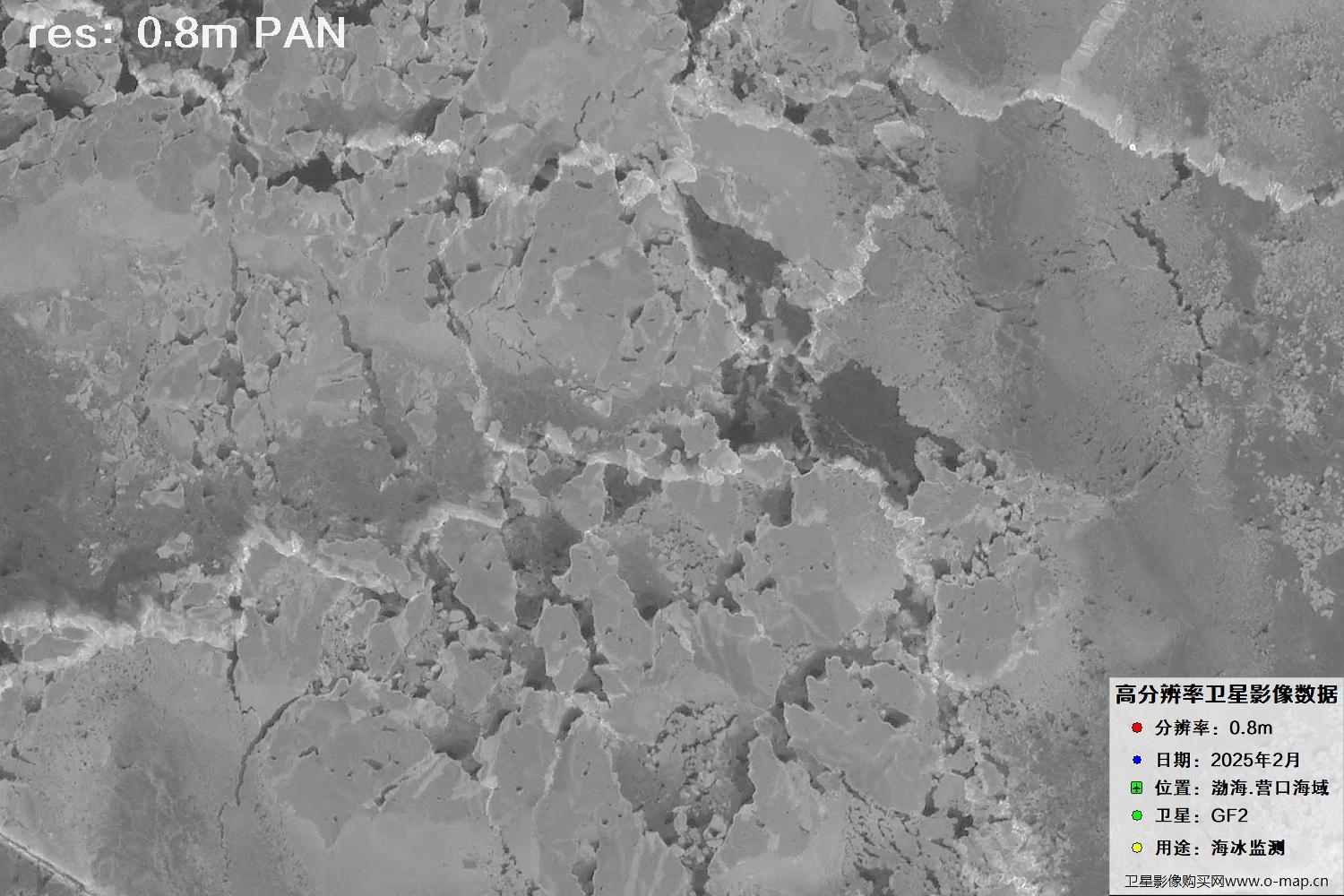 高分二号卫星2025年2月份拍摄的辽宁营口渤海海冰卫星图像