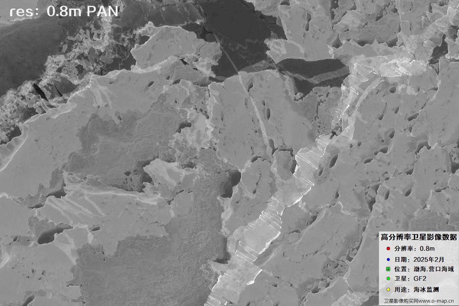 高分二号卫星2025年2月份拍摄的辽宁营口渤海海冰卫星图像