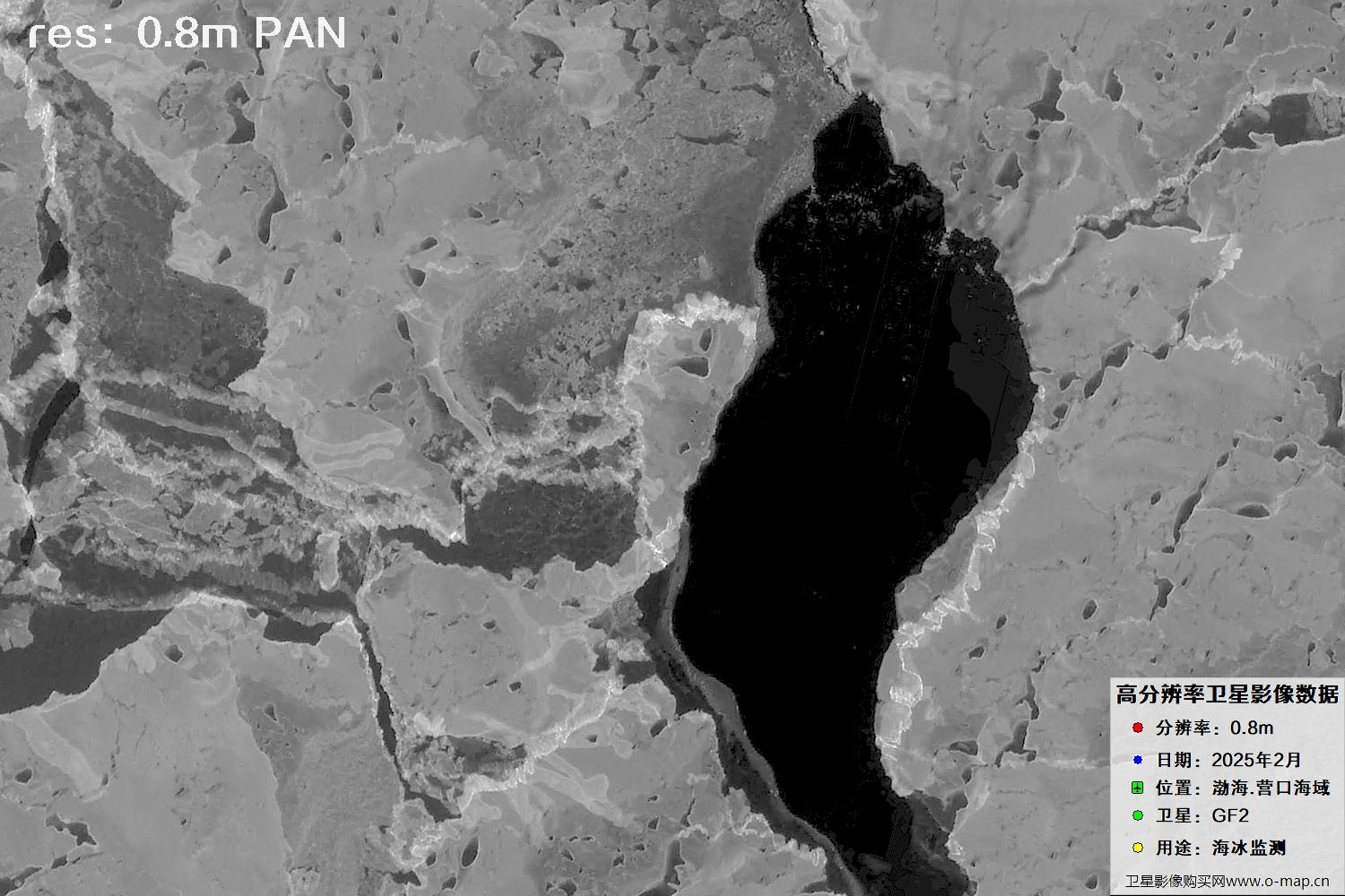 高分二号卫星2025年2月份拍摄的辽宁营口渤海海冰卫星图像