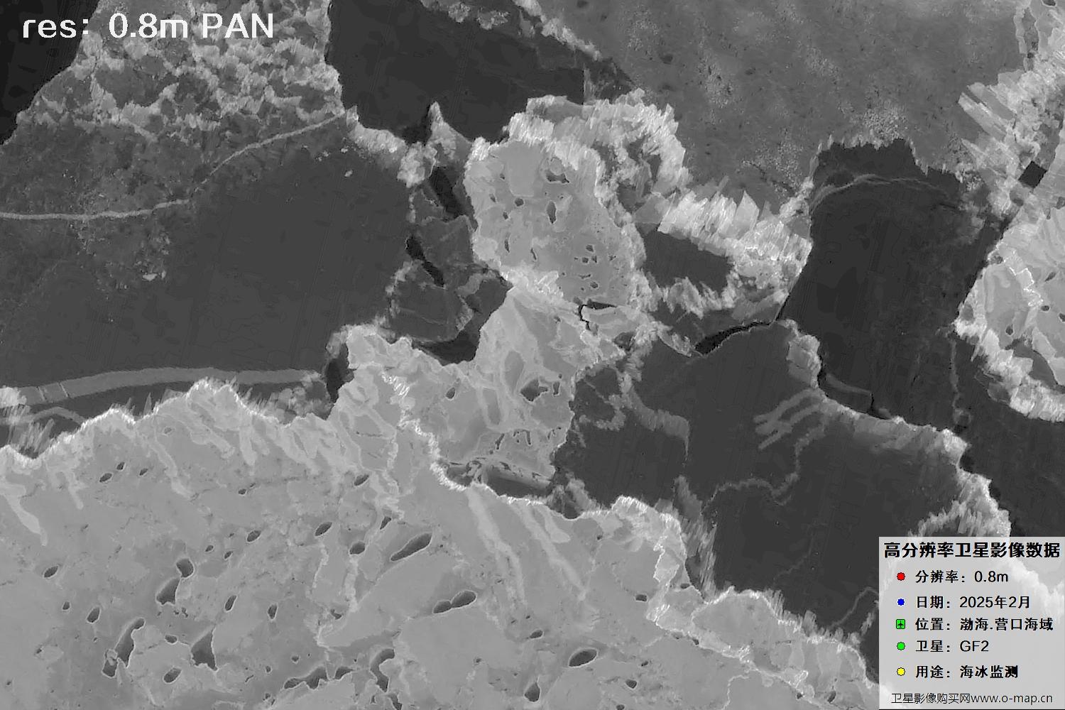 高分二号卫星2025年2月份拍摄的辽宁营口渤海海冰卫星图像