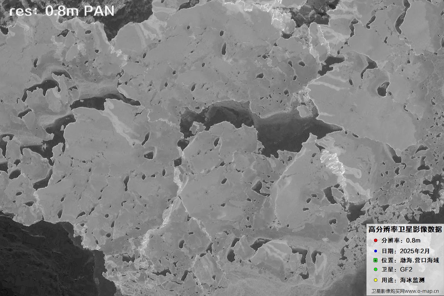 高分二号卫星2025年2月份拍摄的辽宁营口渤海海冰卫星图像