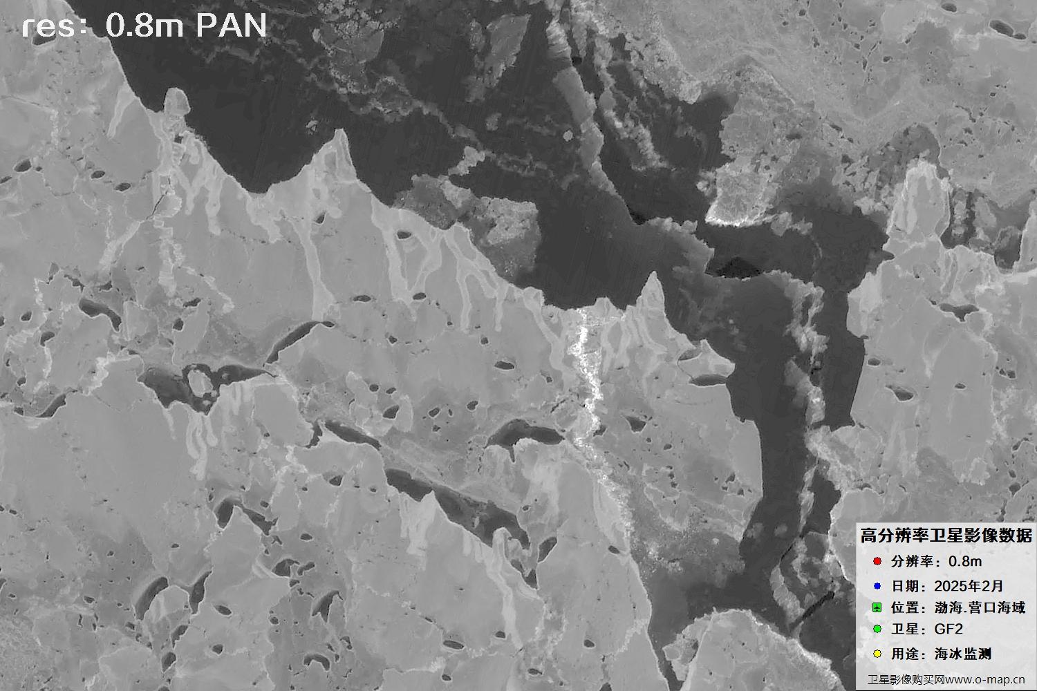 高分二号卫星2025年2月份拍摄的辽宁营口渤海海冰卫星图像