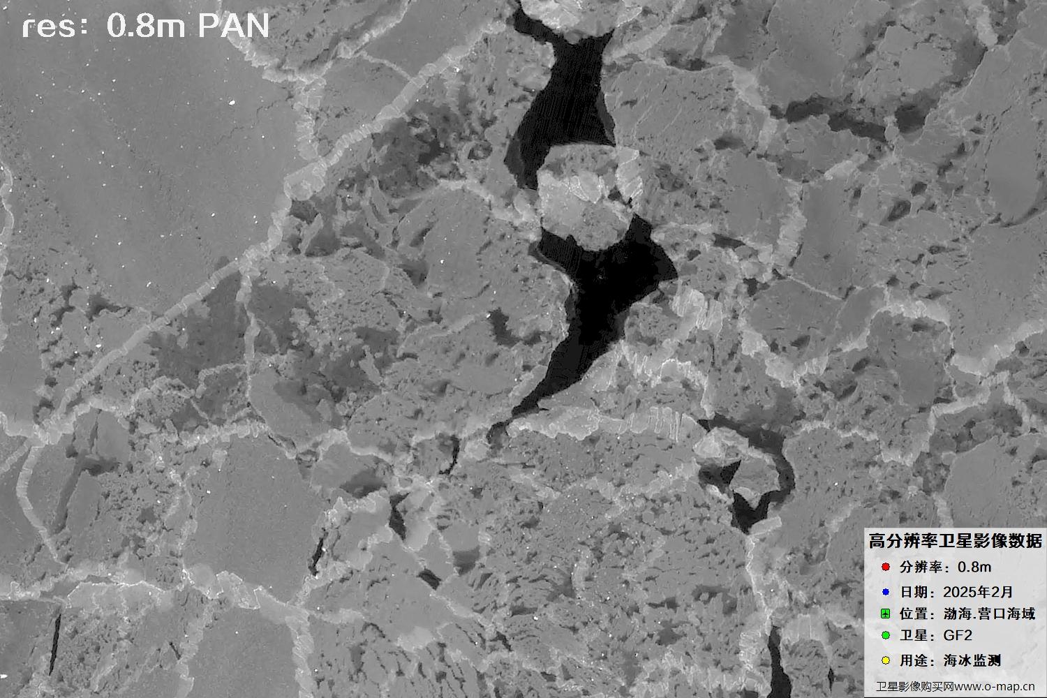 高分二号卫星2025年2月份拍摄的辽宁营口渤海海冰卫星图像