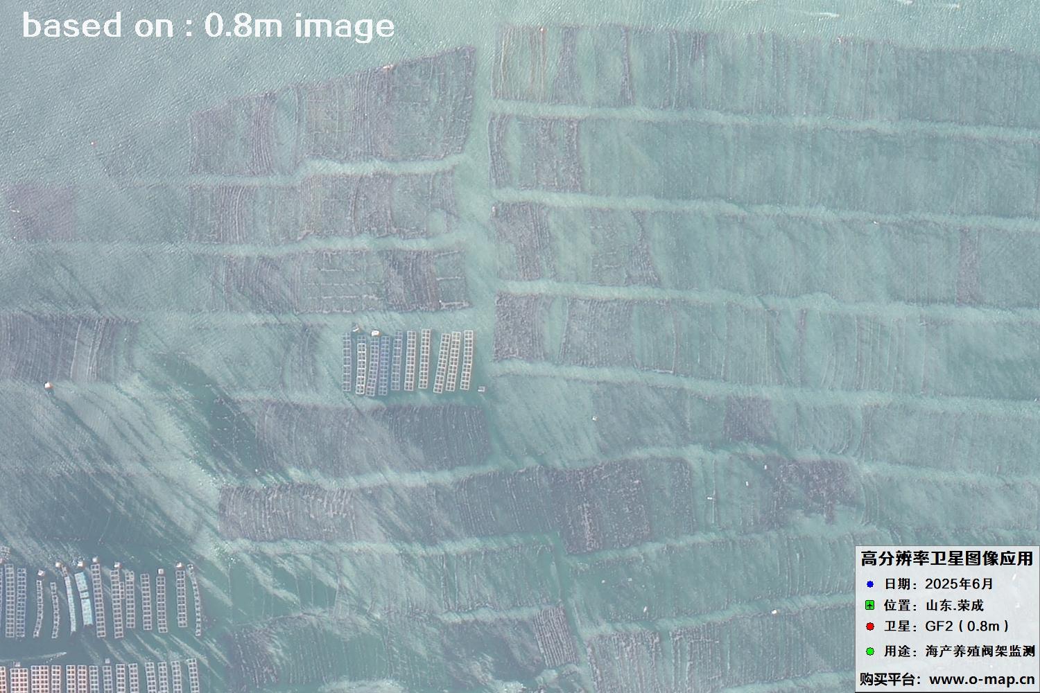 高分二号卫星2025年6月拍摄的山东省荣成市海产养殖卫星图像