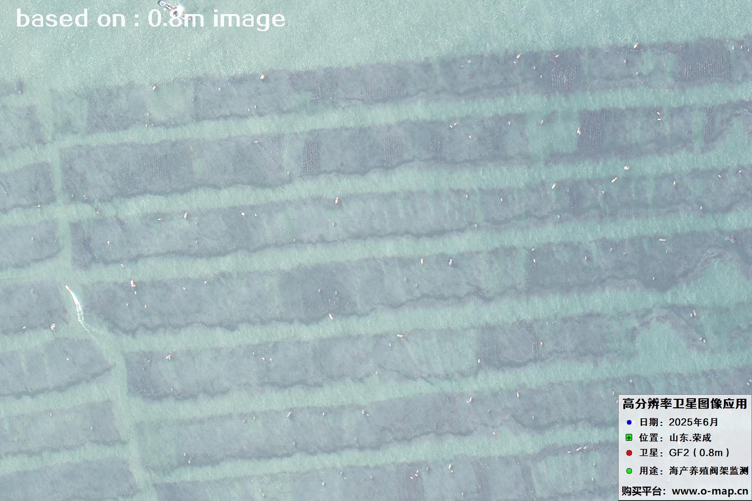 高分二号卫星2025年6月拍摄的山东省荣成市海产养殖卫星图像