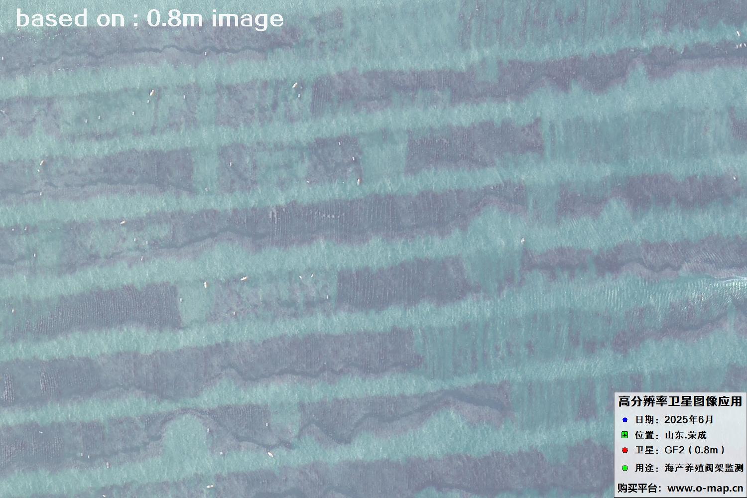 高分二号卫星2025年6月拍摄的山东省荣成市海产养殖卫星图像