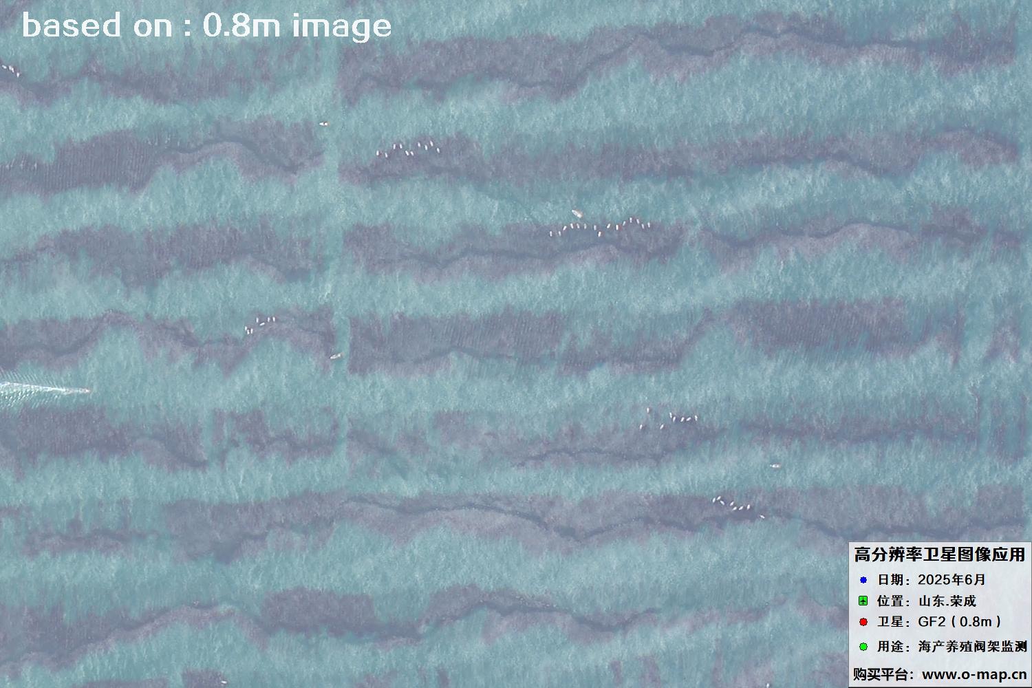 高分二号卫星2025年6月拍摄的山东省荣成市海产养殖卫星图像