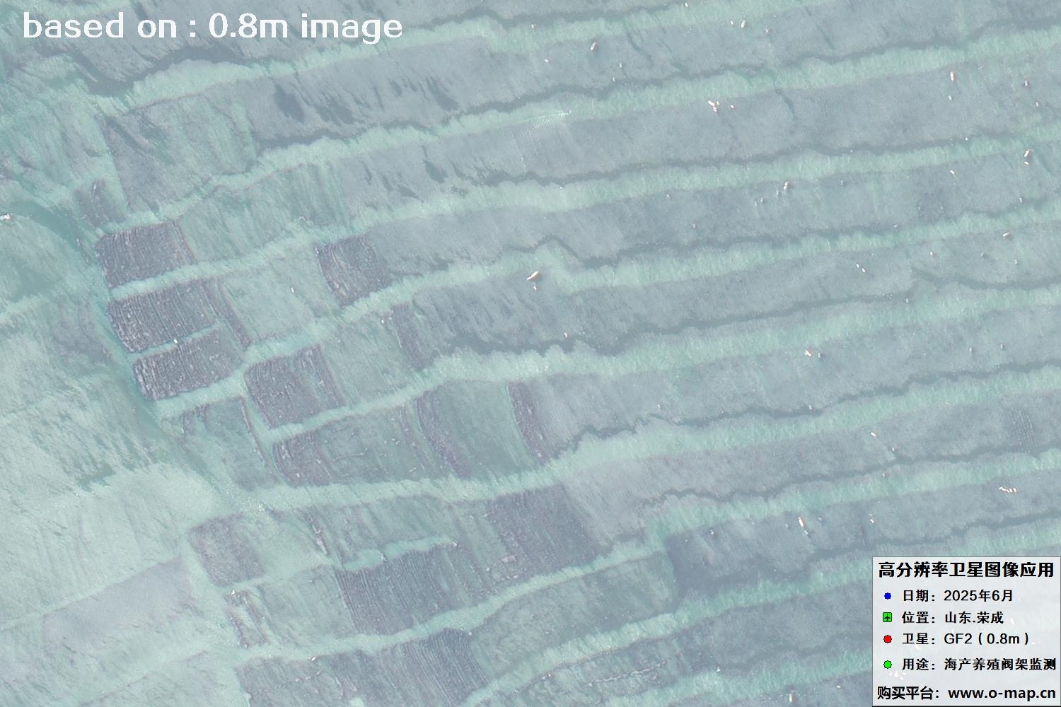 高分二号卫星2025年6月拍摄的山东省荣成市海产养殖卫星图像