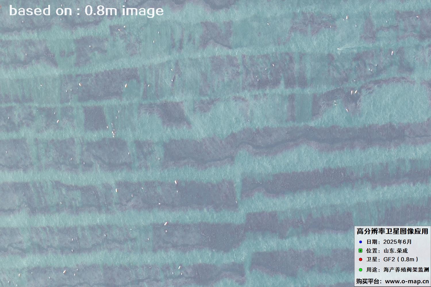 高分二号卫星2025年6月拍摄的山东省荣成市海产养殖卫星图像