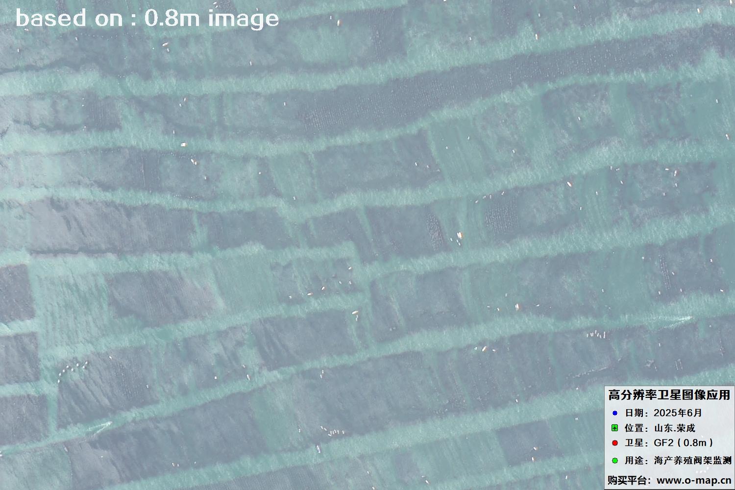 高分二号卫星2025年6月拍摄的山东省荣成市海产养殖卫星图像