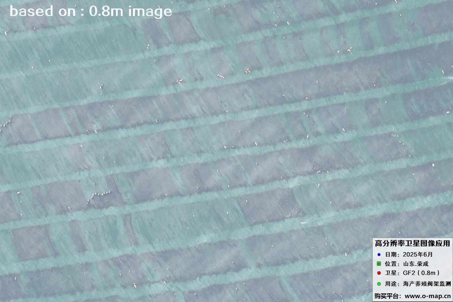高分二号卫星2025年6月拍摄的山东省荣成市海产养殖卫星图像