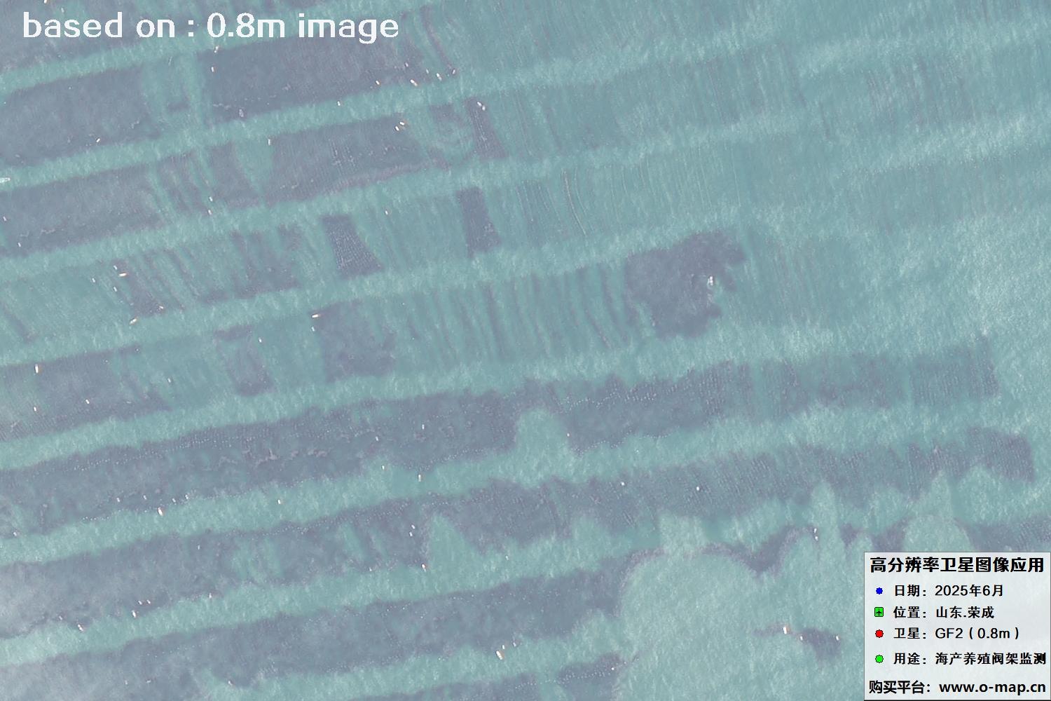 高分二号卫星2025年6月拍摄的山东省荣成市海产养殖卫星图像