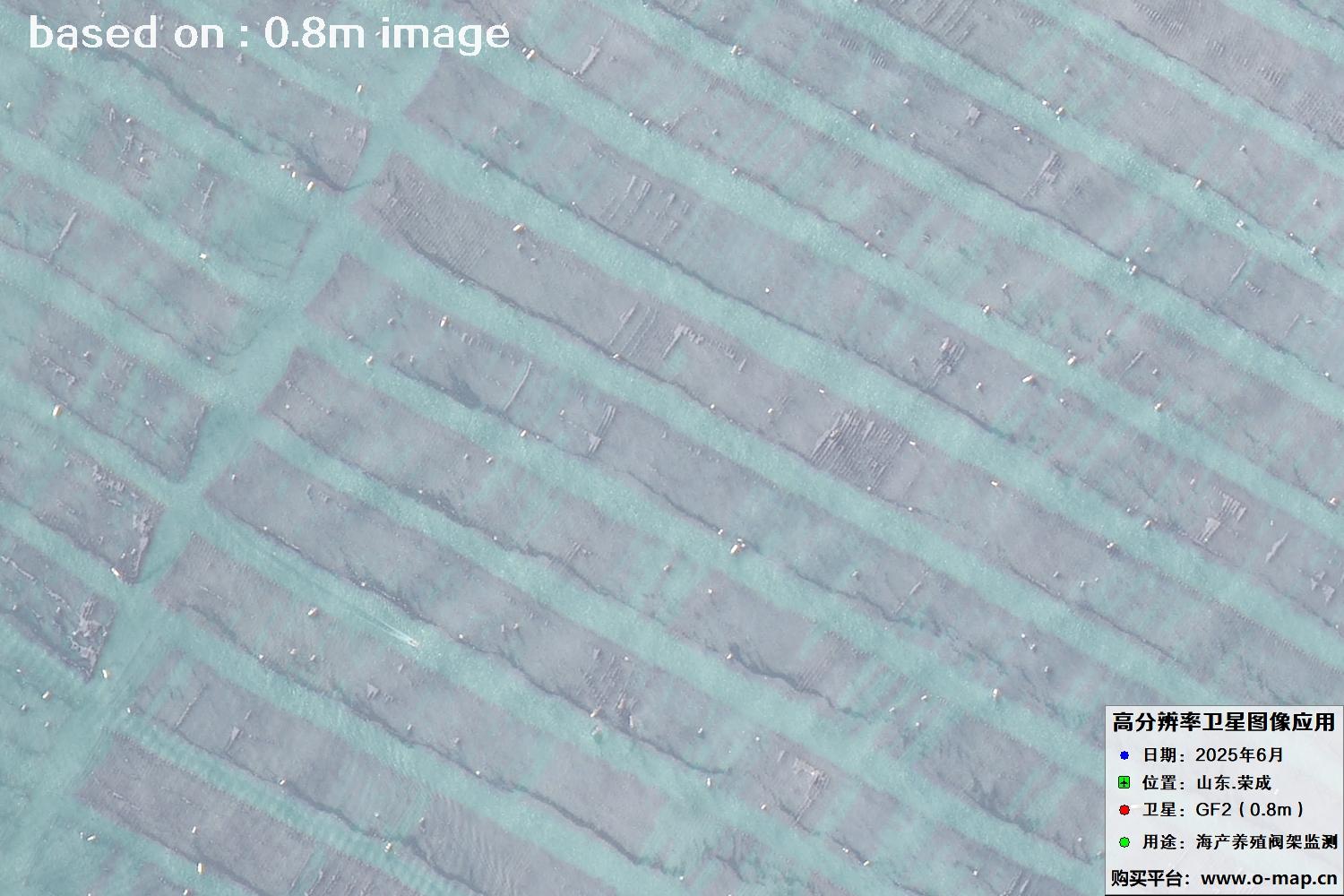 高分二号卫星2025年6月拍摄的山东省荣成市海产养殖卫星图像