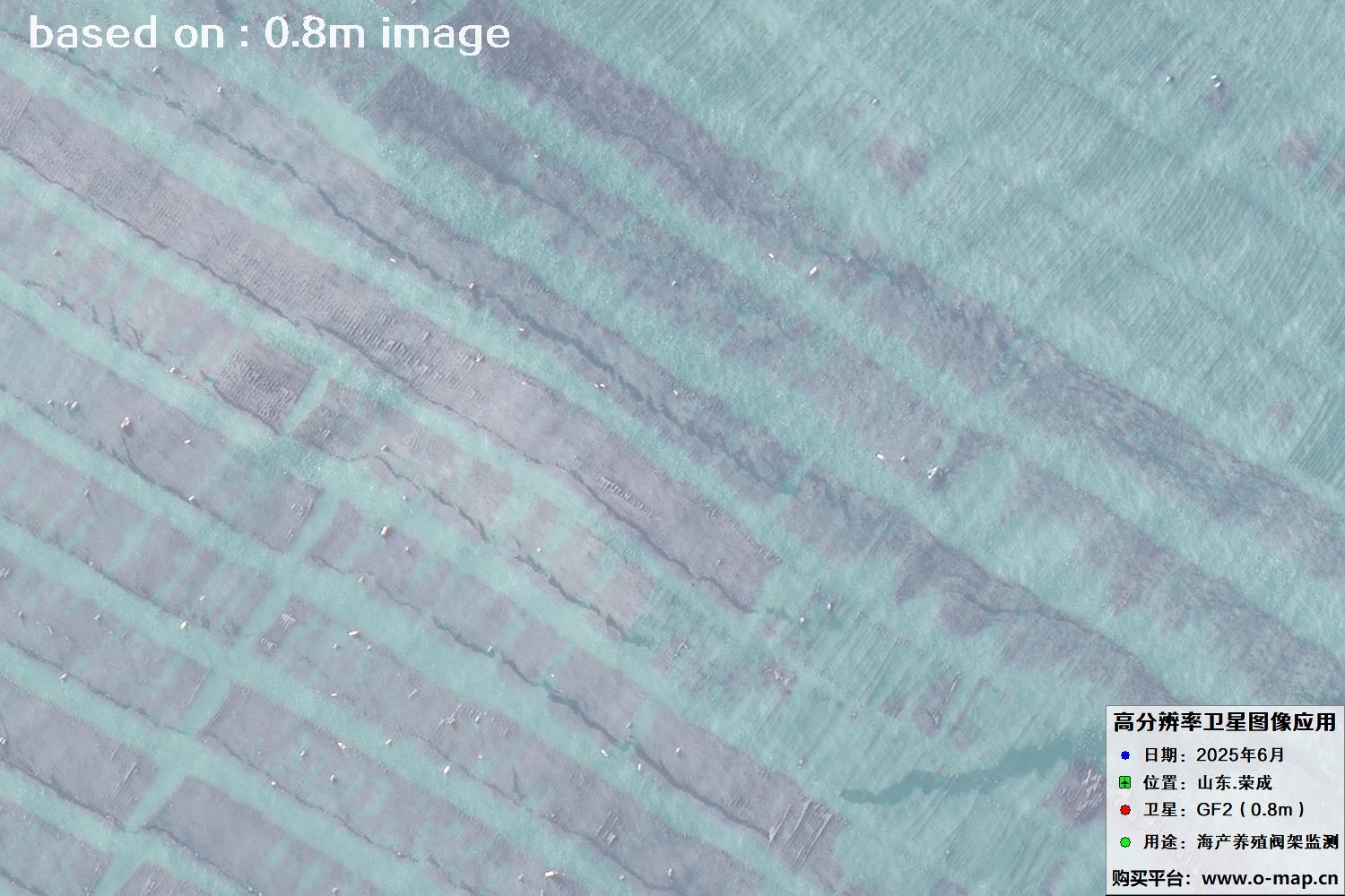 高分二号卫星2025年6月拍摄的山东省荣成市海产养殖卫星图像