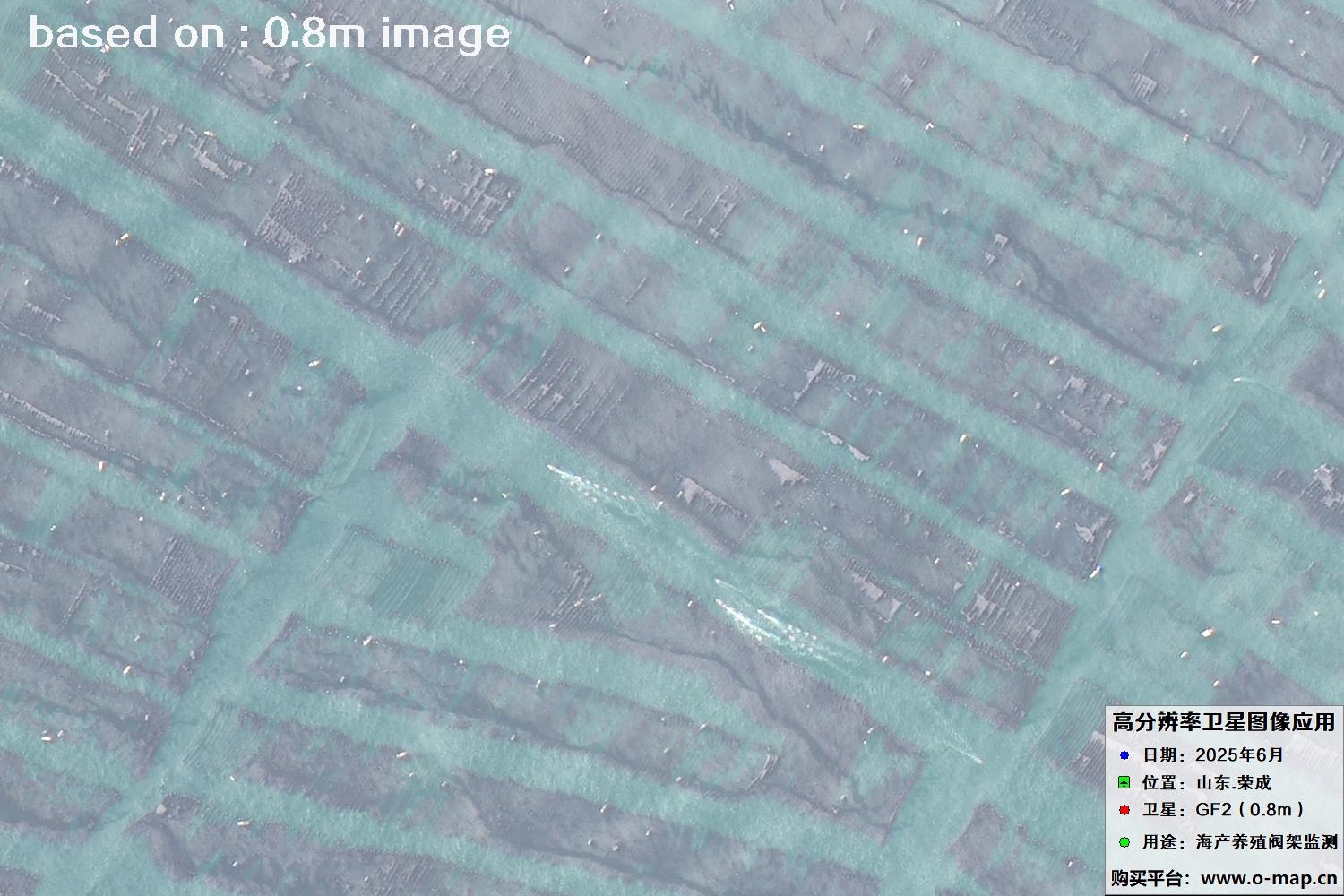 高分二号卫星2025年6月拍摄的山东省荣成市海产养殖卫星图像