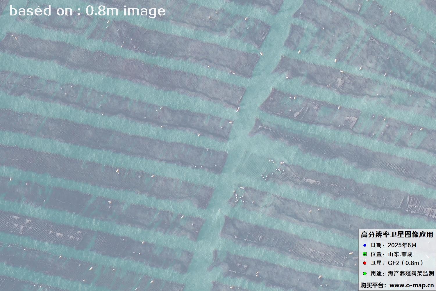 高分二号卫星2025年6月拍摄的山东省荣成市海产养殖卫星图像