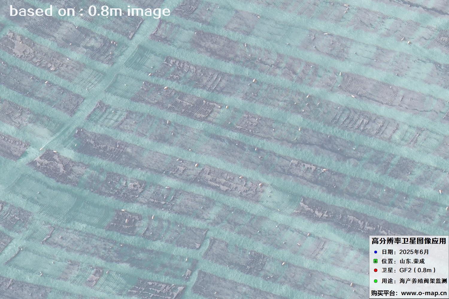 高分二号卫星2025年6月拍摄的山东省荣成市海产养殖卫星图像