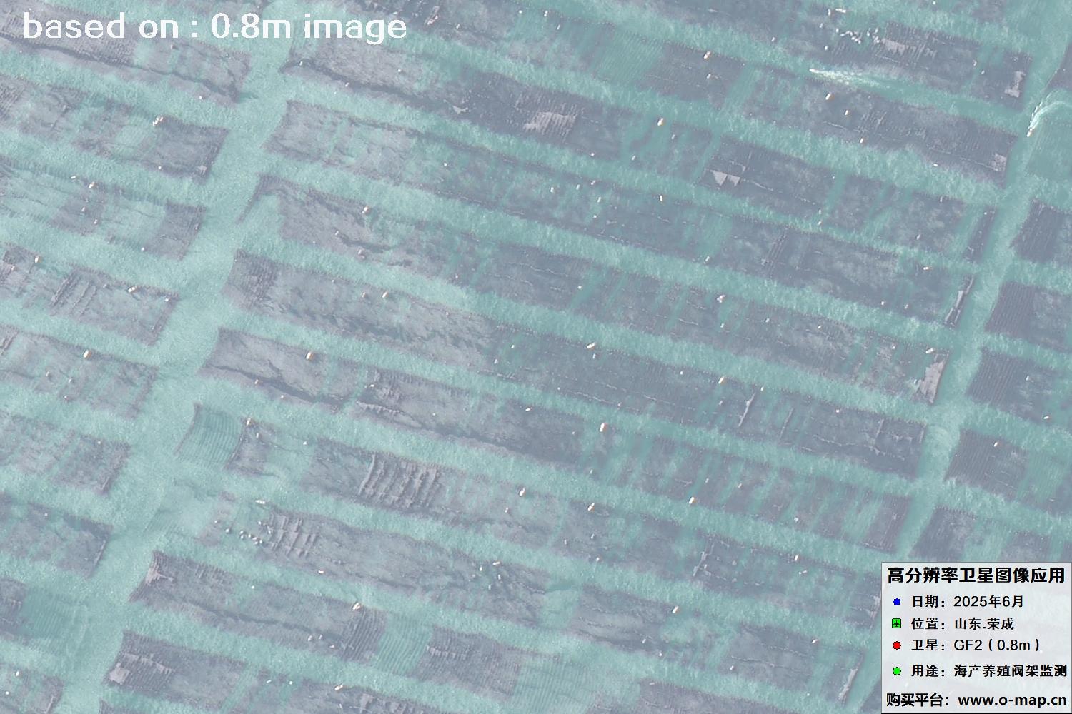 高分二号卫星2025年6月拍摄的山东省荣成市海产养殖卫星图像