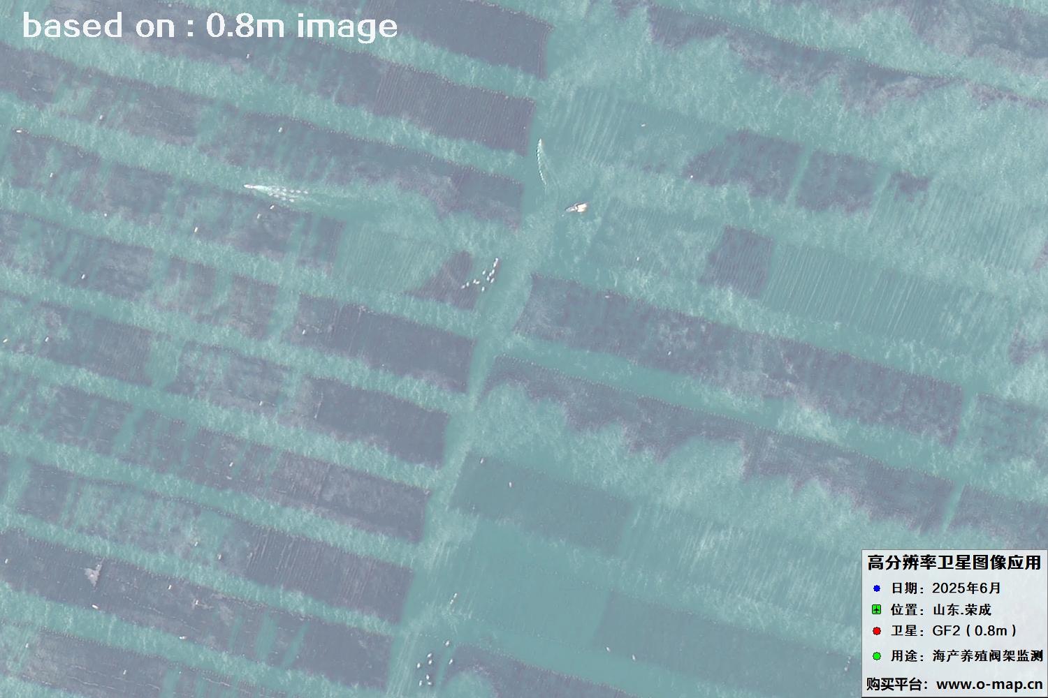 高分二号卫星2025年6月拍摄的山东省荣成市海产养殖卫星图像