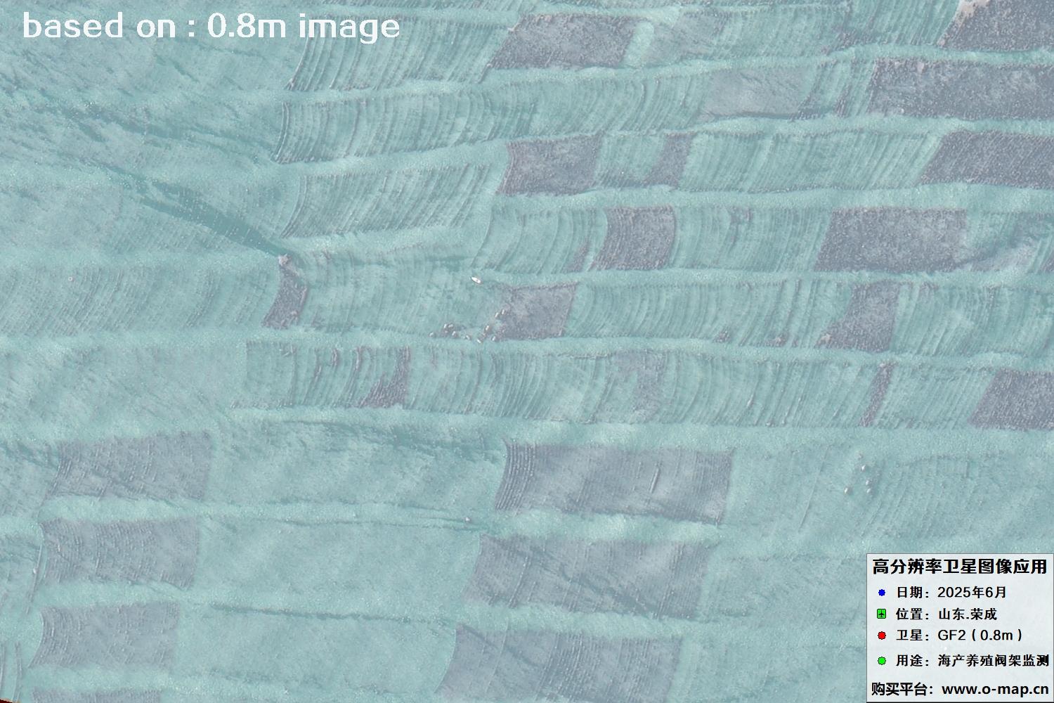高分二号卫星2025年6月拍摄的山东省荣成市海产养殖卫星图像