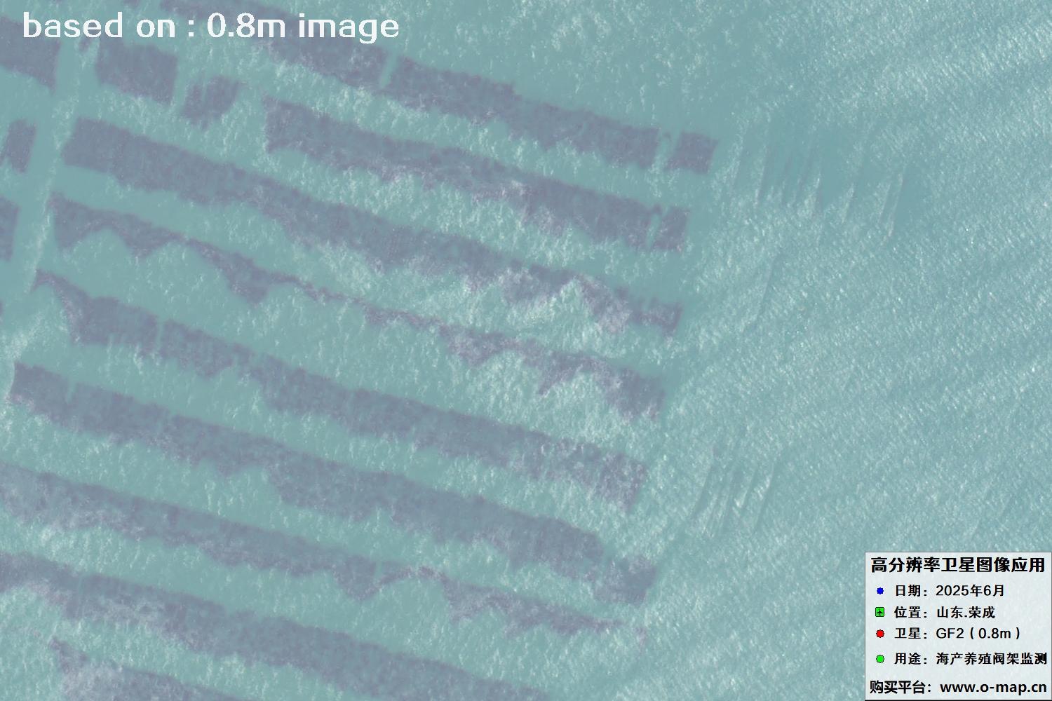 高分二号卫星2025年6月拍摄的山东省荣成市海产养殖卫星图像